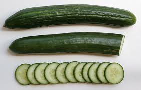 Image result for Cucumis sativus