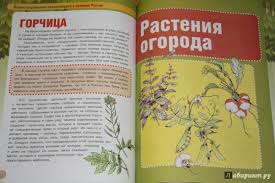 Kniga Kulturnye Rasteniya Sergej Shustov Kupit Knigu Chitat Recenzii Isbn 978 5 905777 96 7 Labirint
