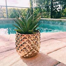 Pin By Yuukie Mory On Pineapple Crush Pineapple Vase Pineapple Decor Plants