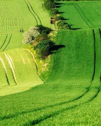 The Grass Is Always Greener On The Other Side They Say The Grass Is Always Greener On The Other Side And It S True Loc Moravian Czech Republic Plitvice Lakes National Park Plitvice Lakes Moravian