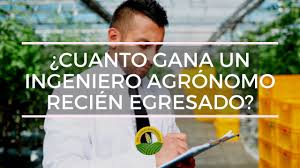 Empresa agroindustrial con más de 20 años de trayectoria dedicada a la distribución de productos agrícolas, busca ingeniero técnico agrícola o agrónomo para trabajar, en la comarca de. Cuanto Gana Un Ingeniero Agronomo Recien Egresado Youtube