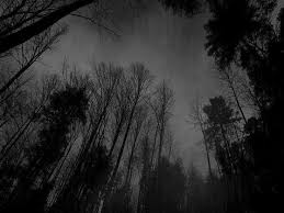 Tumblr wallpaper uicideboy wallpaper background hd wallpaper forest wallpaper aesthetic desktop wallpaper laptop wallpaper aesthetic backgrounds nature wallpaper background images. Dark Night Hd Black Wallpapers For Laptop With High Resolution Dark Wallpaper Nature Wallpaper Backgrounds Desktop