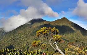 Ketika era perang dunia kedua, prebet thomas stacevich telah berbakti dan berjasa di dunia beaufort. 18 Tempat Menarik Popular Di Tambunan Sabah 2021 Eksplorasi Sabah