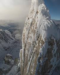 Image result for Memecylon torrei