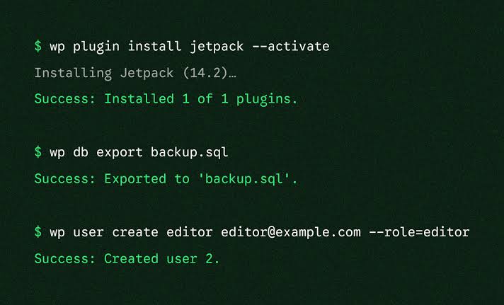 Using WP-CLI to manage database options via SSH, AI generated