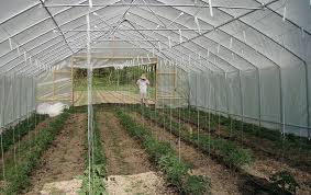 It doesn't get any better… Double Your Backyard Yield Light Deprivation Growing For Homesteading Off Grid World