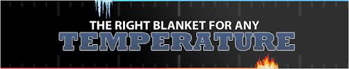What Weight Horse Blanket Do I Need Horse Com