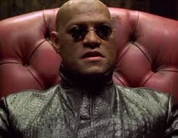 Our Apocalypse Survival Movie Dream Team