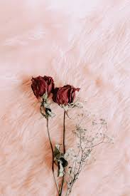 Wallpaper Iphone Dried Flowers Girlywallpaperiphonevintagepink Wallpaperiphone7 Wallpaperi Flower Background Wallpaper Aesthetic Wallpapers Dried Flowers Download in original size related wallpapers: wallpaper iphone dried flowers