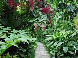 Liebe besucherinnen und besucher, herzlich willkommen im botanischen garten! Grosser Garten Grosser Garten