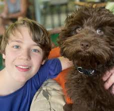 Past Puppies & Parent Testimonial