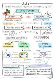 Get Your Free Gcse Biology Revision Note To Compare Animals Plants Animals Arthropods Biology Compare Science Notes Biology Notes Biology Revision
