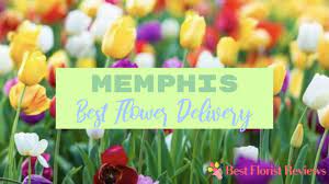 Maybe you would like to learn more about one of these? The 5 Services For The Best Flower Delivery In Memphis 2021