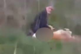 Ahlak Yoksunu Yasli Adam Cami Onunde Kopege Tecavuz Ederken Yakalandi Bursada Bugun Bursa Bursa Haber Bursa Haberi Bursa Haberleri Bursa