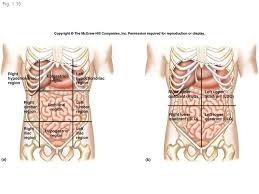 It is due to the growing womb (uterus) pulling on the structures (round ligaments and broad ligament) which hold it in place. Anatomy Lower Left Abdomen