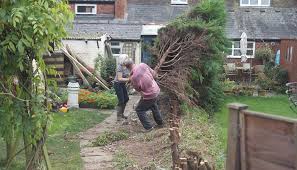 Cutting privet only stimulates it. Cost Of Removing A Hedge
