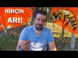 Polen Toplama Yontemi Ve Zamani Detayli Anlatim Youtube