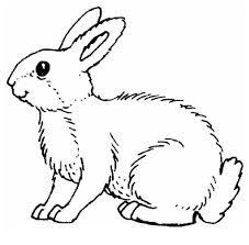 Pin By Ifrimmarinela On Urs In 2020 Bunny Coloring Pages Animal Coloring Pages Coloring Pages