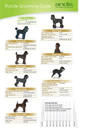 dog grooming