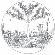 An essential component of the design will be the nitrogen fixing perennial plants within the community of fruit and nut trees. Introducing Guilds Edible Backyard