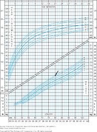 Chapter 3 Summarizing Data Presenting Data In Tables