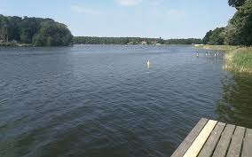 Das hotel & restaurant haus am see in zechlinerhütte verfügt über eine seeterrasse mit 400 qm² kommen sie vorbei und erleben sie die wm am schlabornsee. Badestelle Am Schlabornsee In Zechlinerhutte Ruppiner Seenland Zechlinerhutte