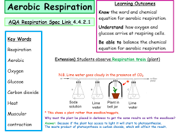 Microsoft power point 2016 supports all animations smoothly. New Aqa Respiration Specification Aerobic Respiration Powerpoint And Worksheets Teaching Resources