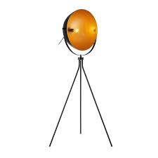 Lux Lighting Group Spot Light 62 Floor Lamp Reviews Wayfair Lamp Tripod Floor Lamps Floor Lamp