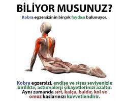 Rana Atilgan Adli Kullanicinin Spor Panosundaki Pin Formda Kal Egzersiz Motivasyon Egzersiz