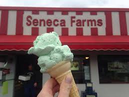 Check spelling or type a new query. Seneca Farms Home Facebook