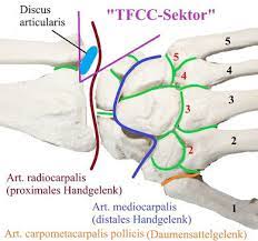 Dabei stellt der arzt der betroffenen person. Region 6 Handspezifische Verletzungen See Feel Treats Webseite