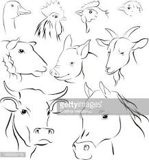 Simple Farm Animal Drawing Animal Line Drawings Animal Drawings Farm Paintings