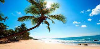 We did not find results for: Beach Amazing Photo Live Wallpaper For Pc Free Download Install On Windows Pc Mac