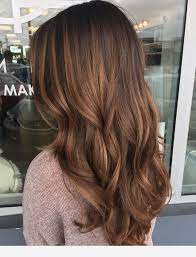 Brown Hair Tone Nice Chestnut Hair Color Brown Hair Tones Hair Styles