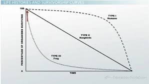 Check spelling or type a new query. Populations Density Survivorship And Life Histories Video Lesson Transcript Study Com