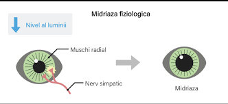 Image result for Mydriatic