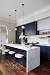 Navy Blue Modern Kitchen