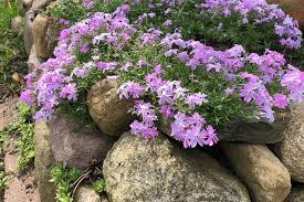 This week will allow you to take yourself out of your daily routine and give yourself a truly time out. Steingarten Anlegen Ideen Zum Gestalten Schoner Wohnen