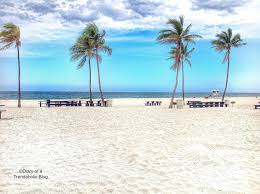 1200 north ocean boulevard, pompano beach, florida 33062 usa. Diary Of A Trendaholic Fort Lauderdale Marriott Pompano Beach Resort And Spa Review