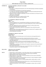 Duncan kimball 1376 s mills avenue, orlando, fl 32806 telephone no: Commercial Project Manager Resume Samples Velvet Jobs