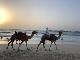 Dubai's premiere marine and water sports company, beachriders offers a range of activities, guiding and instruction. Pin On Travel Dubai