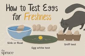 Testing Eggs For Freshness And Safety