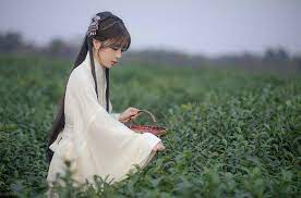 摄影 初雪归矣时出境 公子不坏 楚淇淇淇淇同行 徒生轻漫 小块块hk 服装 西厢苑传统服饰师傅 扶卮 流云蕊