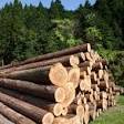 Forestry