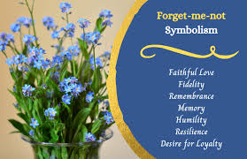 These immortal flowers symbolize undying love, making them a popular choice for valentine's day, mother's day, engagements, weddings, and anniversaries.there are plenty of options out there to consider. Forget Me Not Flower Meaning And Symbolism Symbol Sage