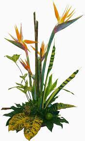 Flowers Gift Baskets Halifax Nova Scotia Goodybaskets Corporate Flowers Altar Flowers Wedding Altar Flowers
