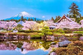 Mt Fuji Area Food Tours Arigato Japan Food Tours Japan S No 1 Food Tour