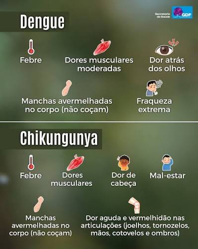 🦟 Você sabia? O mosquito Aedes aegypti transmite os vírus que causam dengue,  chikungunya e Zika. As semelhanças entre alguns sintomas são um desafio  para o reconhecimento das doenças. Por isso, procure