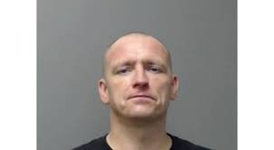 Man who climbed tree to avoid capture sentenced to prison