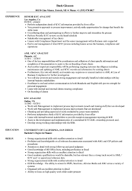 Working as a financial business partner to regional gm. Kyc Analyst Resume Samples Velvet Jobs